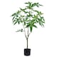 image 1 of 120cm Artificial Money Plant Pachira Realistic Faux Tree