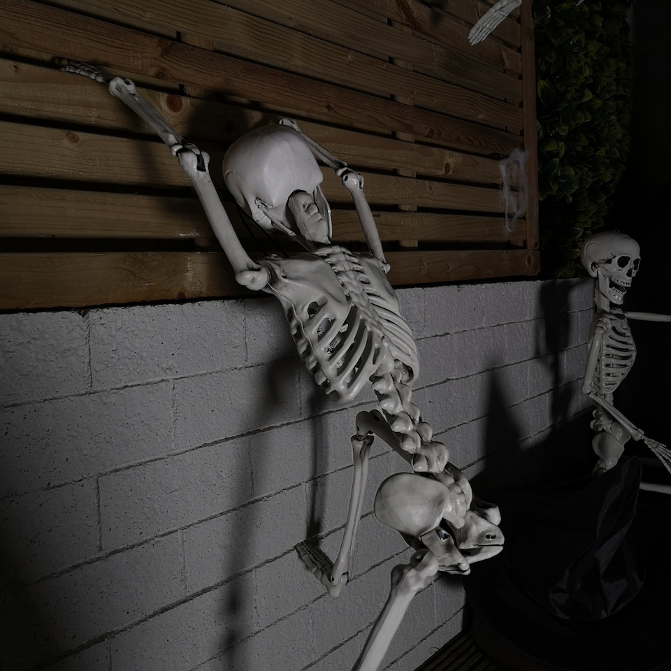 image 1 of 90cm (3ft) Posable Full Body Halloween Skeleton Decoration with Movable Joints
