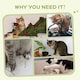 image 6 of PawHut Claw Scratcher Corner Wall, with Plush Sisal Toy Balls, 58cm, Grey