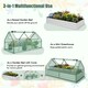 image 10 of COSTWAY Raised Garden Bed with Greenhouse Cover Silver
