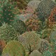 image 1 of Holden Décor Tree Tapestry Wallpaper - Green - 10.05m x 53cm Green