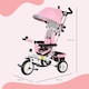 image 5 of HOMCOM 6 in 1 Trike, Kids Tricycle, Pedal Push Bike with Parent Handle, Removable Canopy, 5-Point Safety Belt, Storage, Footrest, Brake, for 1-5 Years Toddler, Pink