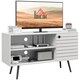 image 1 of HOMCOM TV Unit for 50" TVs with 2 Open Shelves, Door and 2 Cable Holes