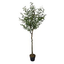 True Products Premium Artificial Olive Tree 170cm Tall Green | One Size