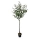 image 1 of True Products Premium Artificial Olive Tree 170cm Tall Green | One Size