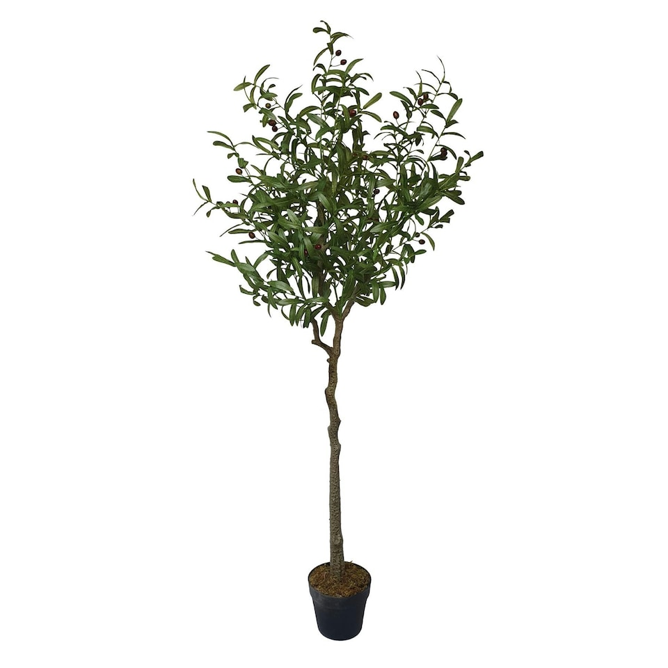 image 1 of True Products Premium Artificial Olive Tree 170cm Tall Green | One Size