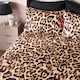 image 1 of OHS Leopard Print Microfibre Easy Care 25cm Deep Fitted Bed Sheet | Brown | Natural | King