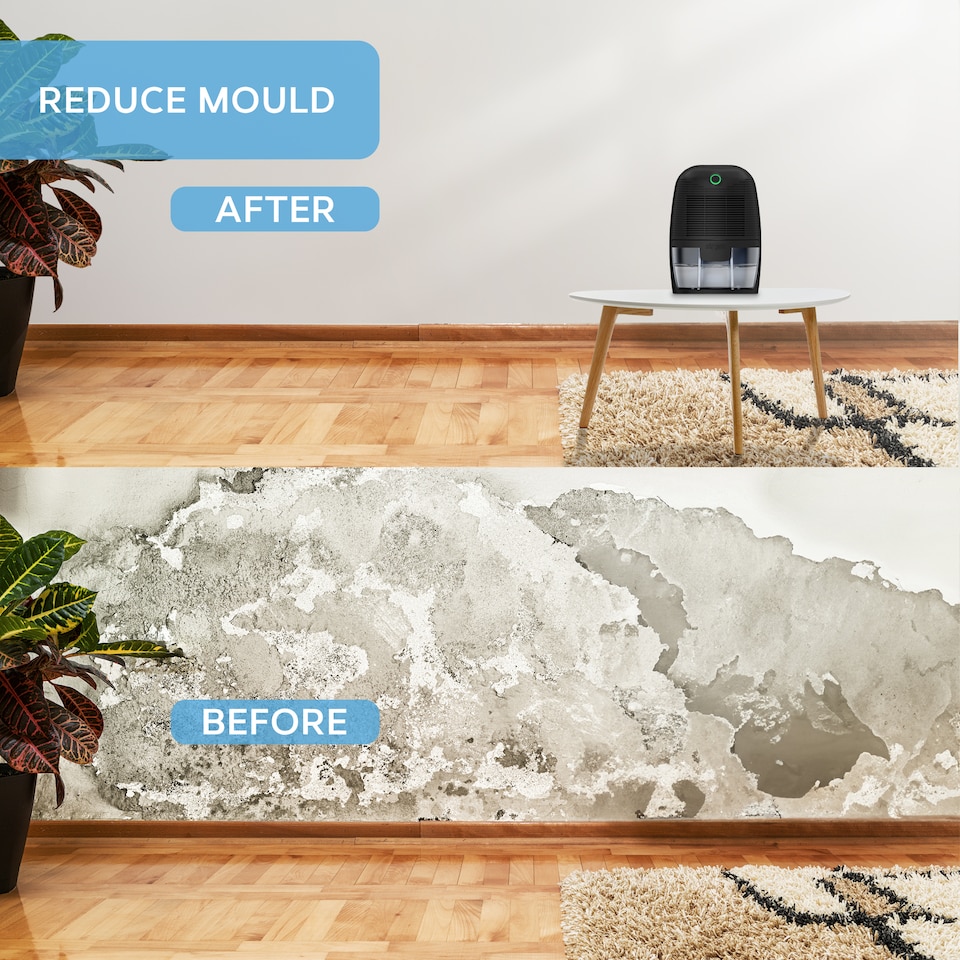 image 1 of Air Pro Mini Dehumidifier Portable Electric Mould & Damp Remover 300ml/Day  Moisture Absorber 600ml Water Tank Condensation Remover | Black | Black | 1