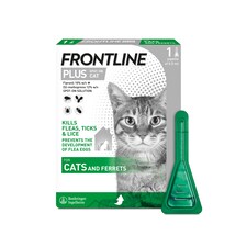Flea Eggs Frontline For Cats Cheapest Price Frontline Plus Spot On
