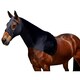 image 2 of Weatherbeeta Stretch Hood - Black - Cob