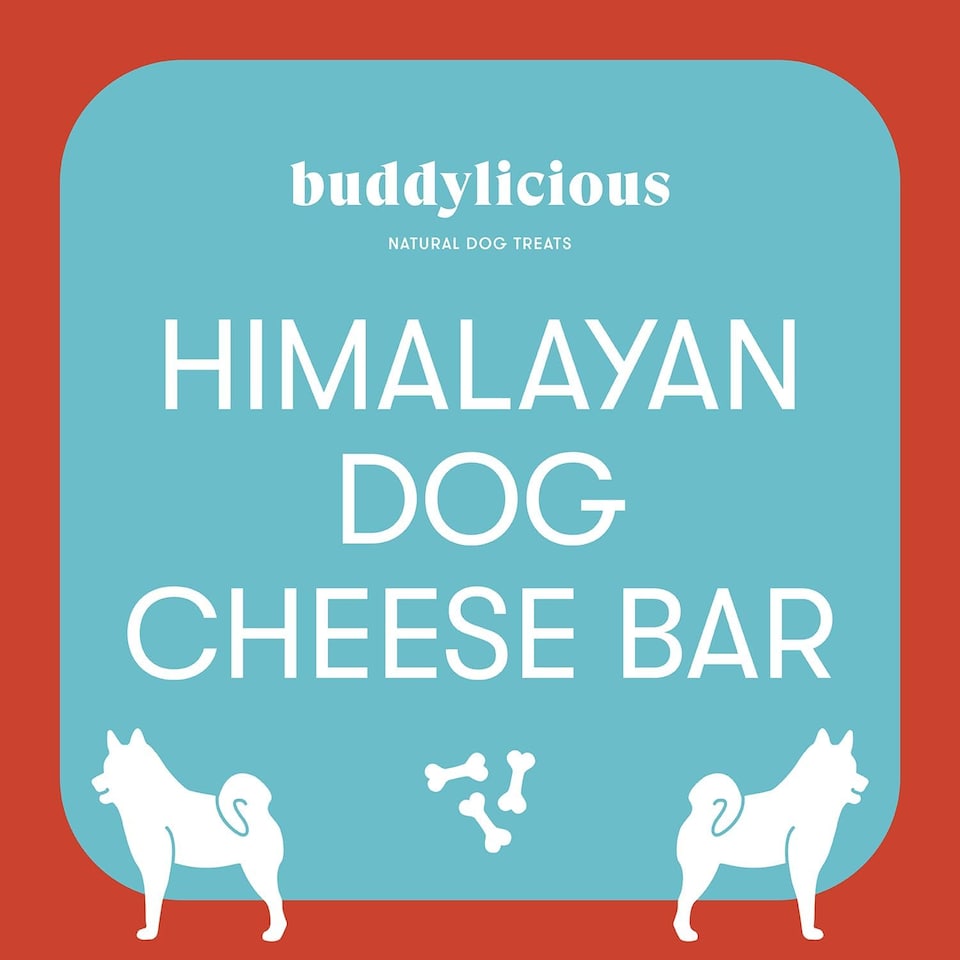 image 1 of Buddylicious Himalayan Yak Dog Chews Natural Yak Milk Cheese Chew for Long Lasting Dental Treat