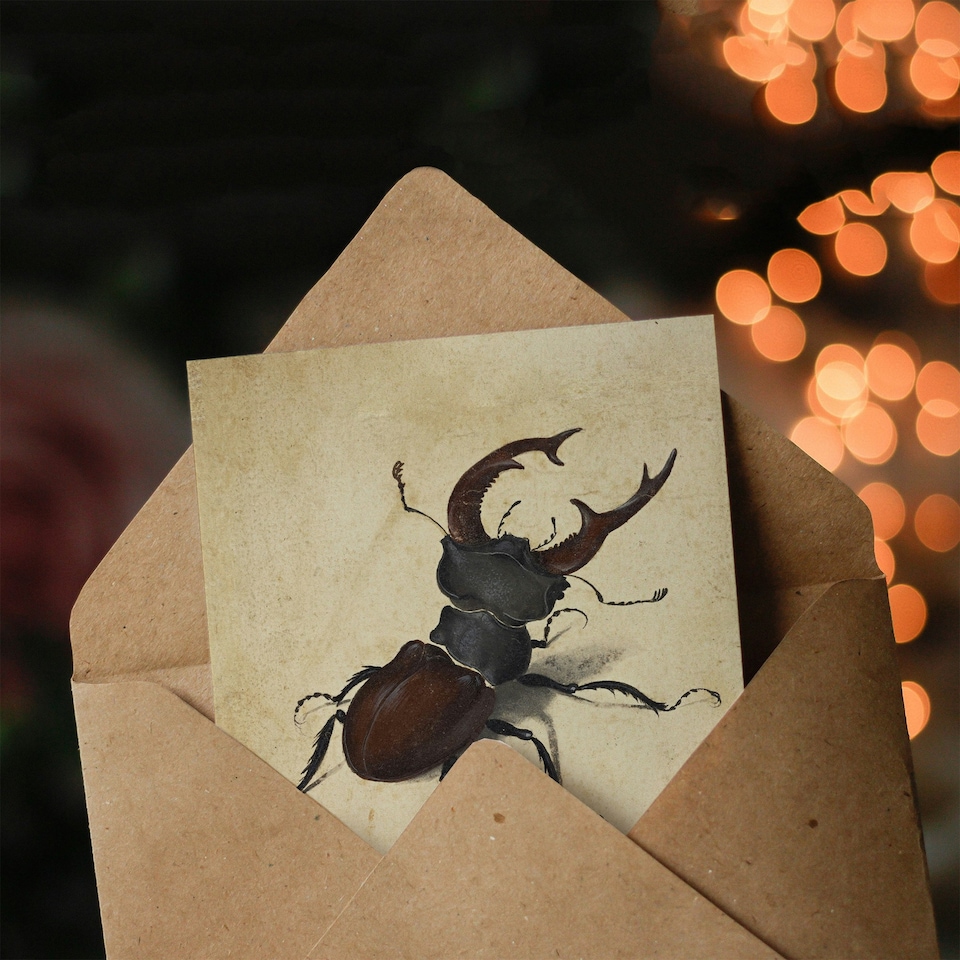 image 1 of Albrecht Durer Art Card Stag Beetle Nature Study Painting