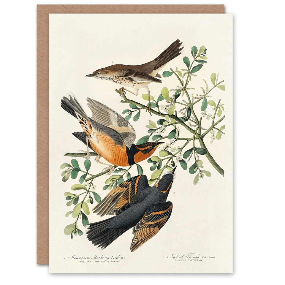 image 1 of John James Audubon Art Card Mountain Mocking Bird and Thrush