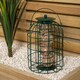 image 8 of Samuel Alexander Metal Hanging Bird Fat Ball Feeder with Squirrel Guard & Pack of 6 Suet Fat Balls