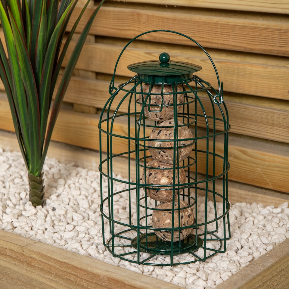 image 1 of Samuel Alexander Metal Hanging Bird Fat Ball Feeder with Squirrel Guard & Pack of 6 Suet Fat Balls