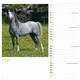 image 4 of Horses Calendar 2026, Wall Calendars, Month To View, Animals, Gift