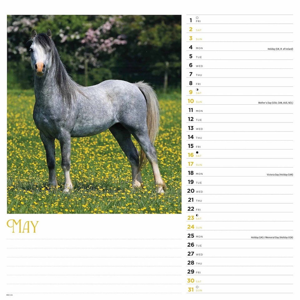 image 1 of Horses Calendar 2026, Wall Calendars, Month To View, Animals, Gift
