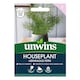image 1 of Houseplant Asparagus Fern | Multi | Green | Seeds | 1