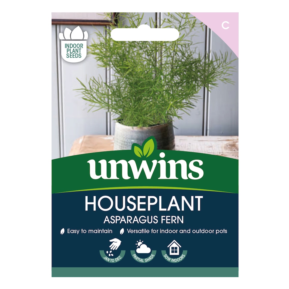 image 1 of Houseplant Asparagus Fern | Multi | Green | Seeds | 1