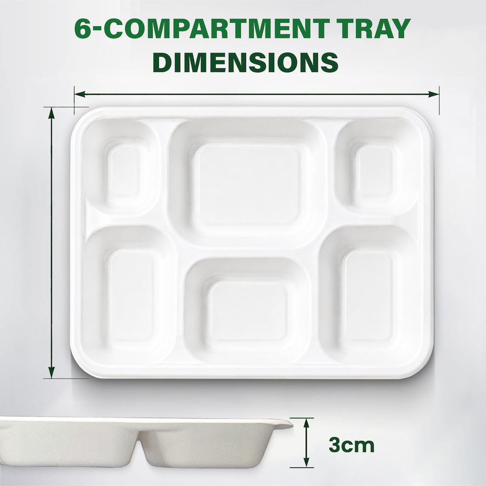 ECONX Bagasse 6 Compartment Food Tray Plate Disposable Sugarcane