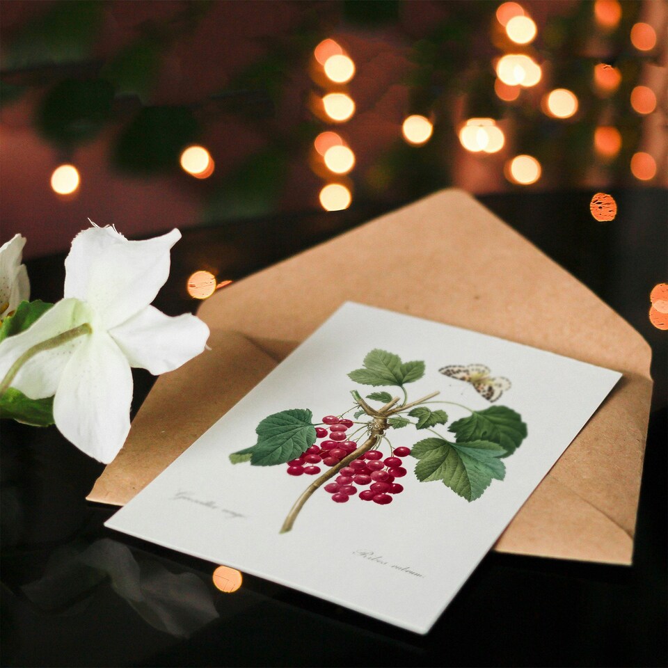 image 1 of Pierre-Joseph Redouté Art Card Redcurrant Berries and Butterfly