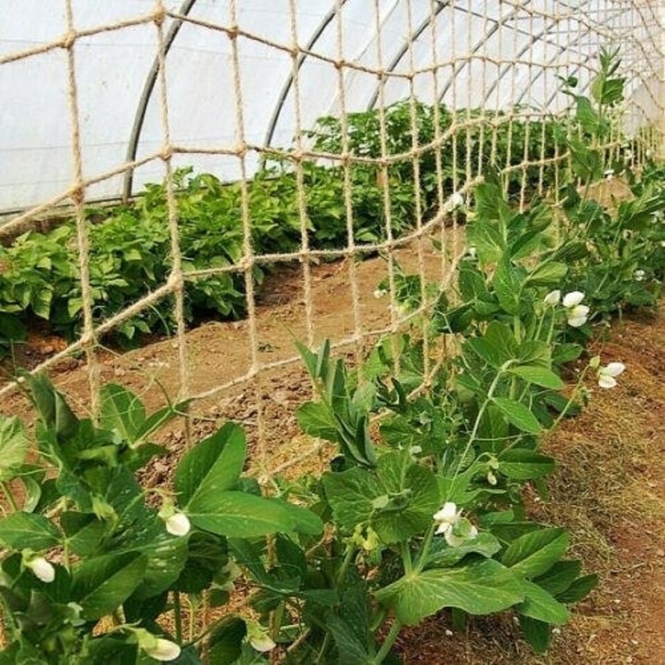 image 1 of True Products Jute Heavy Duty Pea Bean Netting For Climbing Plants 50mm 1m x 5m