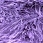 5720 Lavender | Purple