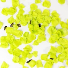 Lime Green Fabric Rose Petals
