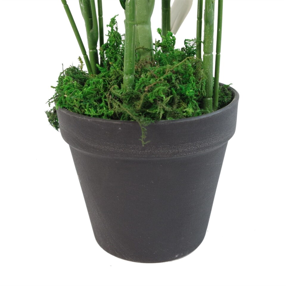 image 1 of 65cm Leaf Design UK Realistic Large Artificial Foliage Plant with Pot | Green | 2ft