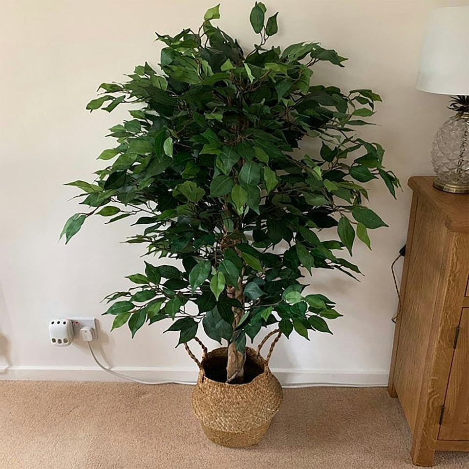 image 1 of 120cm Artificial Ficus Tree / Plant - Large Bushy Shape Silver Metal Planter