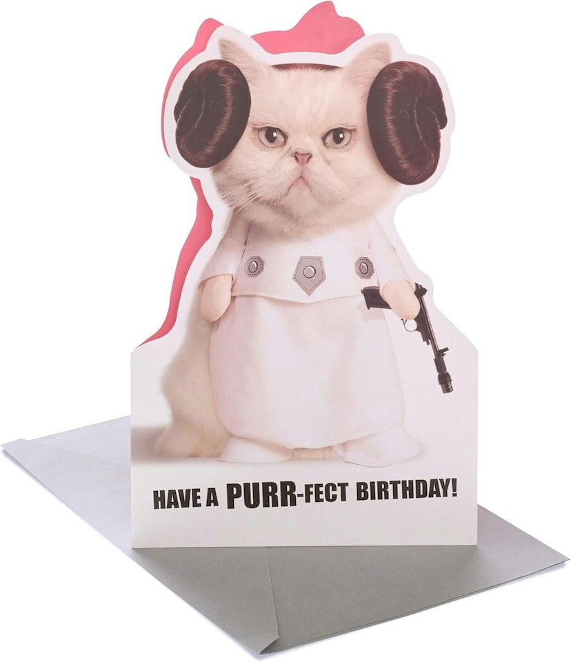image 1 of Funny Cat Leia Design Disney Star Wars Birthday Card