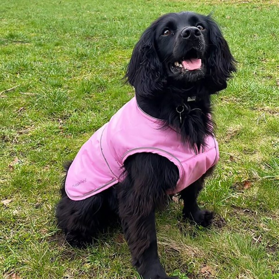 image 1 of HugglePets Arctic Armour Dog Coat Black | L