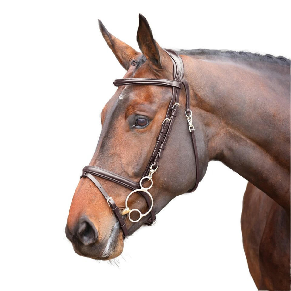 Velociti Rapida Leather Training Horse Bridle - Havana - Full