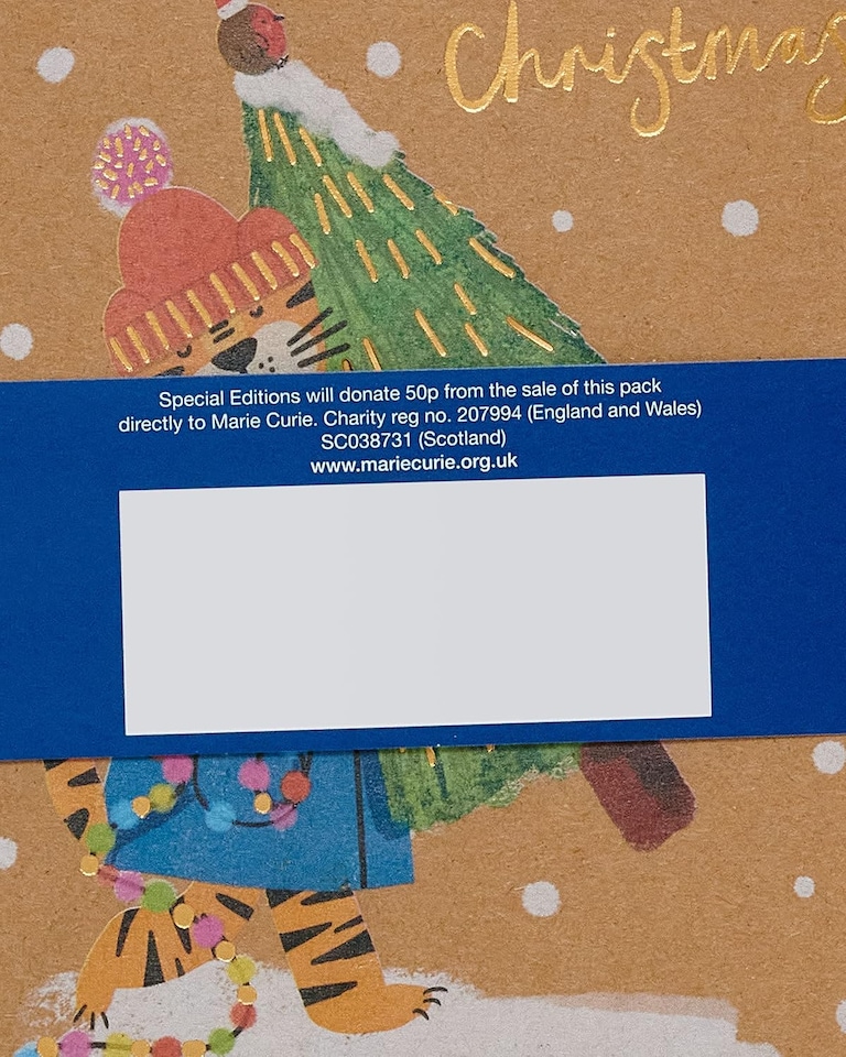 image 1 of Box of 8 Festive Tiger Marie Curie Charity Christmas Cards