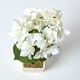 image 3 of Homescapes Small Cream Artificial Hydrangea Flower in Cream Pot, 38 cm Tall