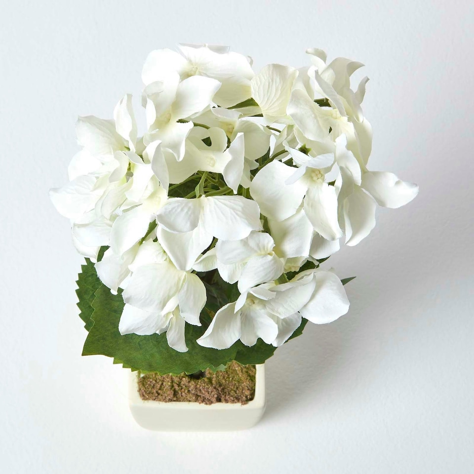 image 1 of Homescapes Small Cream Artificial Hydrangea Flower in Cream Pot, 38 cm Tall