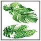 image 1 of Twin botanical leaves (Picture Frame) Grey | XL