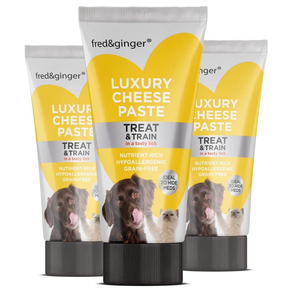 Cheese Cheese Paste Tube Grain Free Ha Ideal Training Walks Recall Medication Rewarding Your Pet Tubes pet food packaging