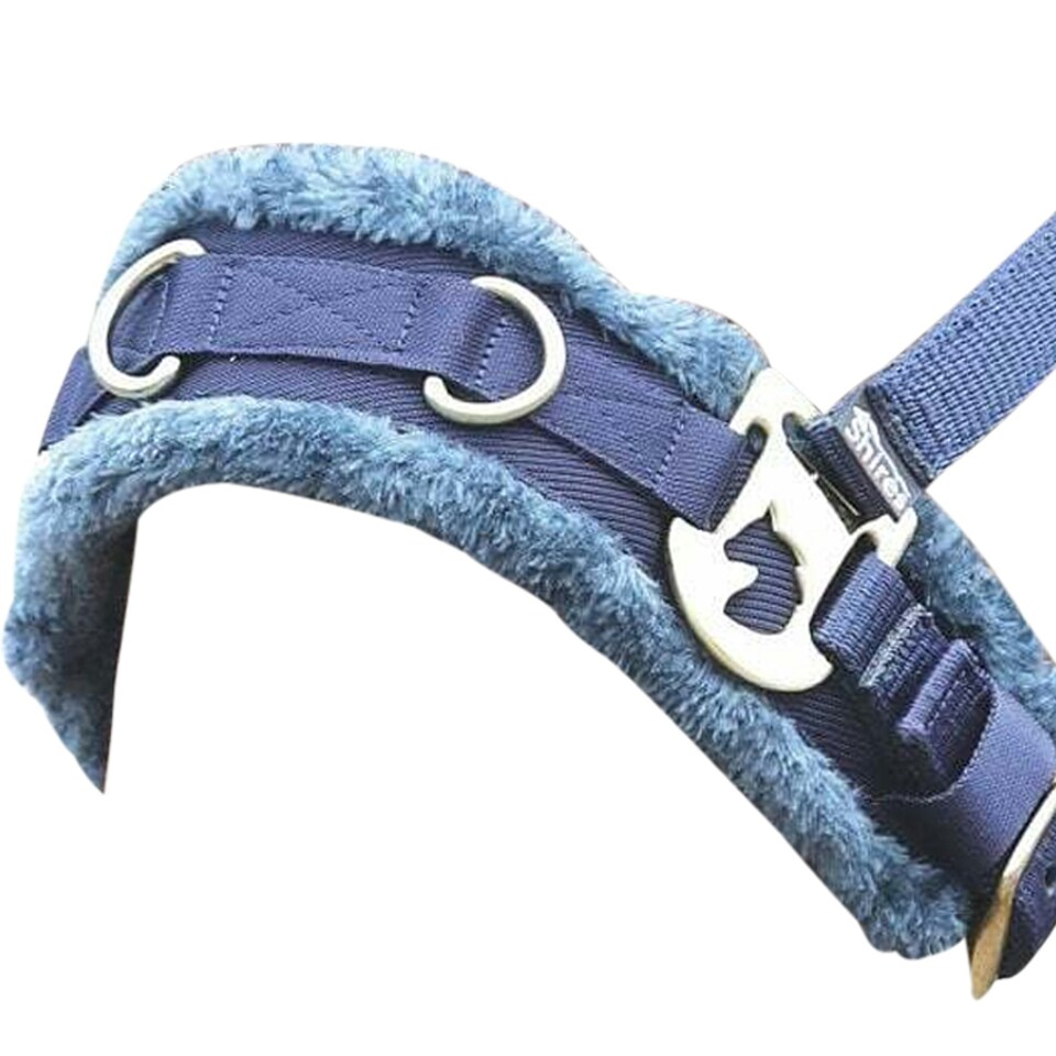 image 1 of Shires Fleece Lined Plush Horse Lunge Cavesson - Navy - Cob