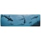 image 1 of Schooling grey reef sharks, Ningaloo reef, Western Australia Designer (Runner Rug)