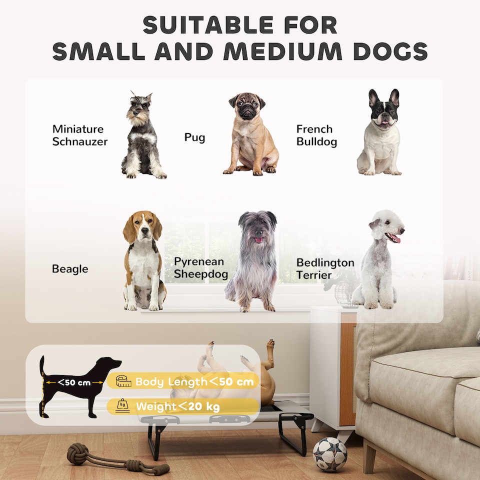 image 1 of PawHut Raised Dog Bed with Breathable Mesh for S & M Dogs, Light Grey | Grey | Light Grey | S