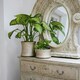 image 5 of Luxe Planter White Gold Gold