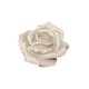 image 1 of Medium Decorative Flower Ornament - Resin - L15 x W15 x H7 cm - Beige