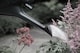 image 4 of 6L Black Watering Can With Detachable Sprinkler Rose