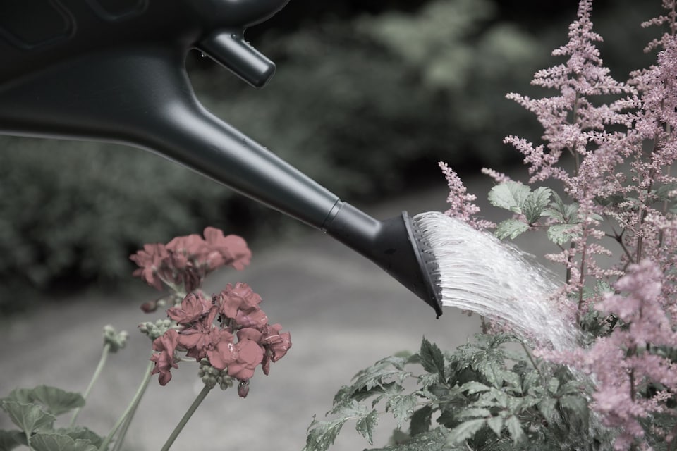 image 1 of 6L Black Watering Can With Detachable Sprinkler Rose