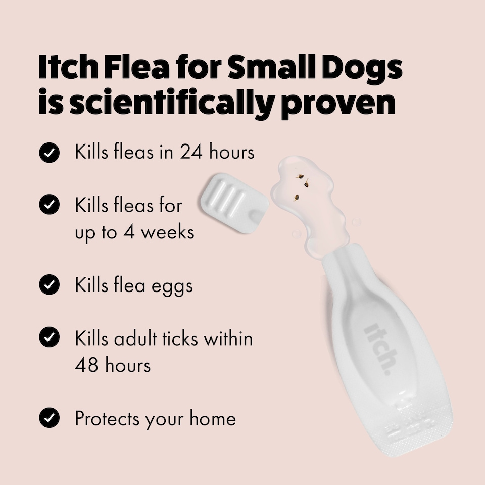 image 1 of Itch Flea Small Dog Flea & Tick Spot On Treatment 12 Pipette (2-10kg)
