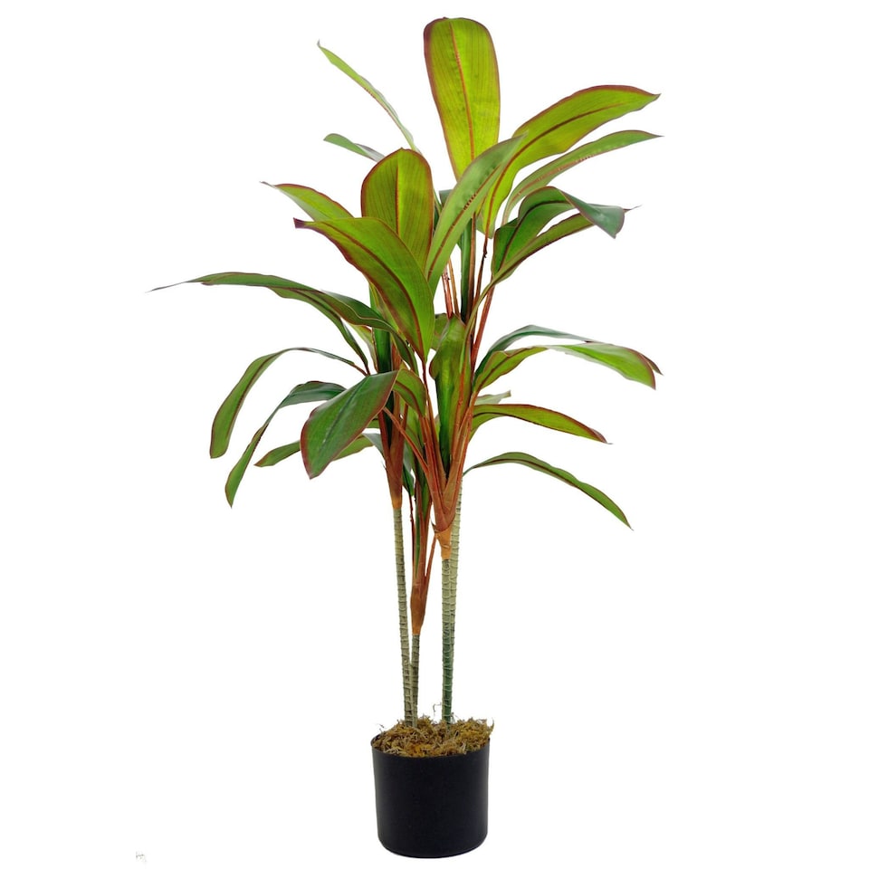 image 1 of Artificial 100cm Potted Dracaena Tropical Plant