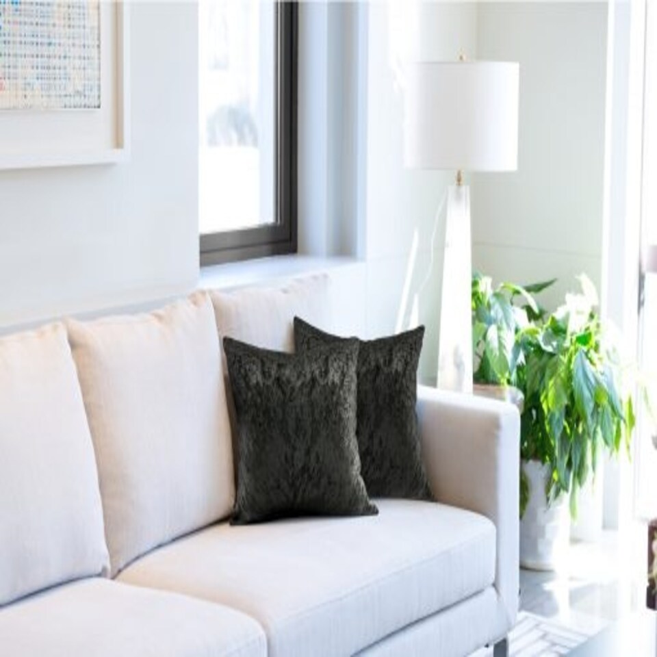 image 1 of Crushed Velvet Cushion Cover 43cm x 43cm Black | Black | Black