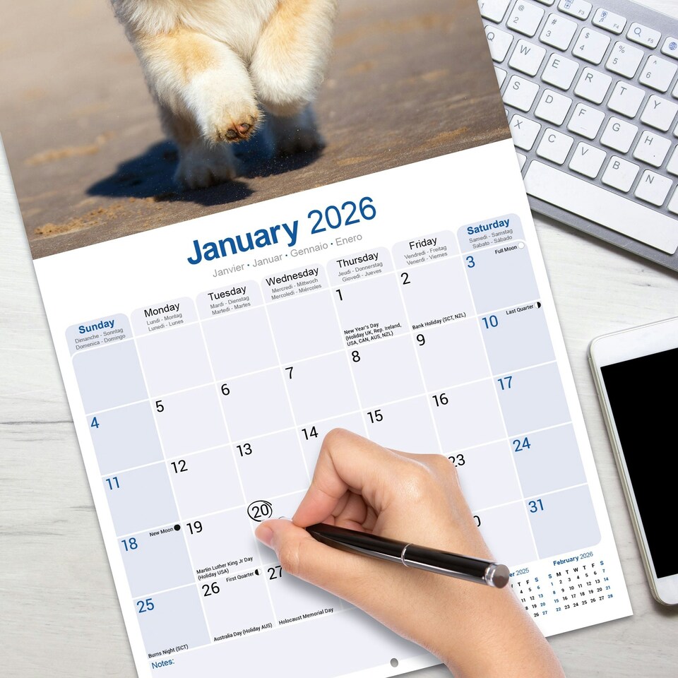 image 1 of Akita 2026 Calendar | Square Wall Calendar | Dog Breed Gift | Plastic Free Packaging | by Avonside Publishing