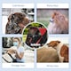 image 5 of PawHut Dog Stroller Rain Cover, Cover for Dog Pram Buggy for, Large, Medium Dogs